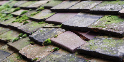 Felton roof repair costs